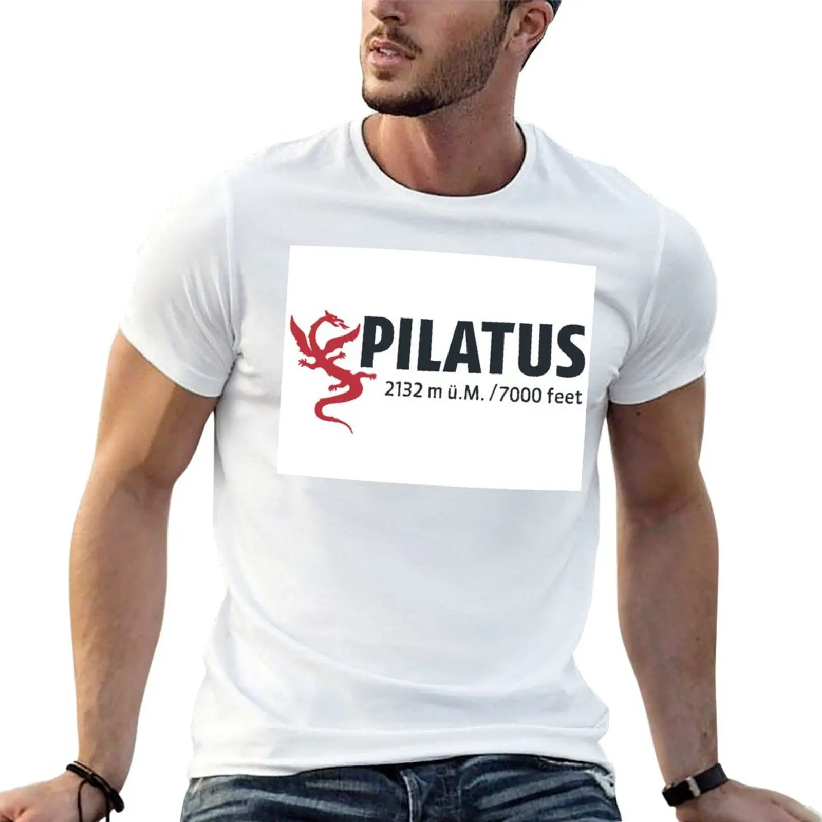 

Pilatus, Swiss Alps T-Shirt funny t shirts dark humor mens graphic t shirts T-Shirt