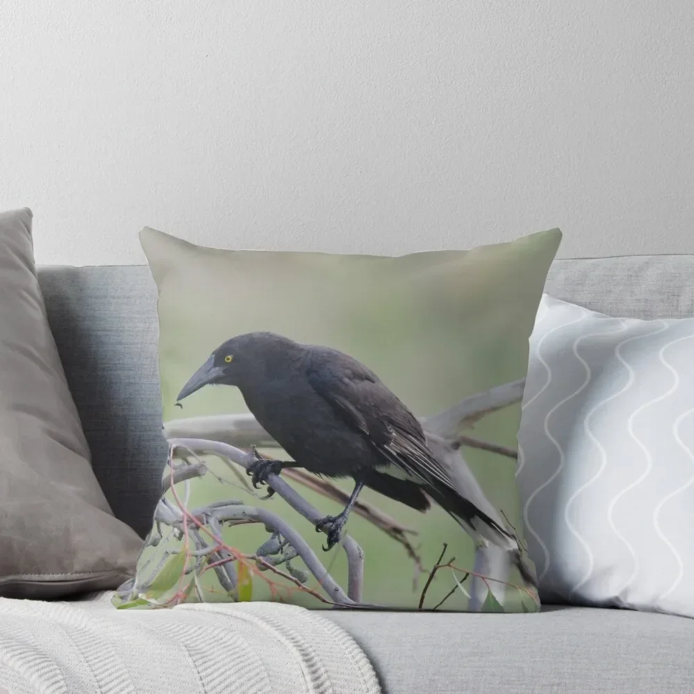 ARTAMIDAE ~ Grey Currawong 79K98PUU by David Irwin 06012021 Throw Pillow Couch Pillows anime girl Cushion Cover For Sofa pillow