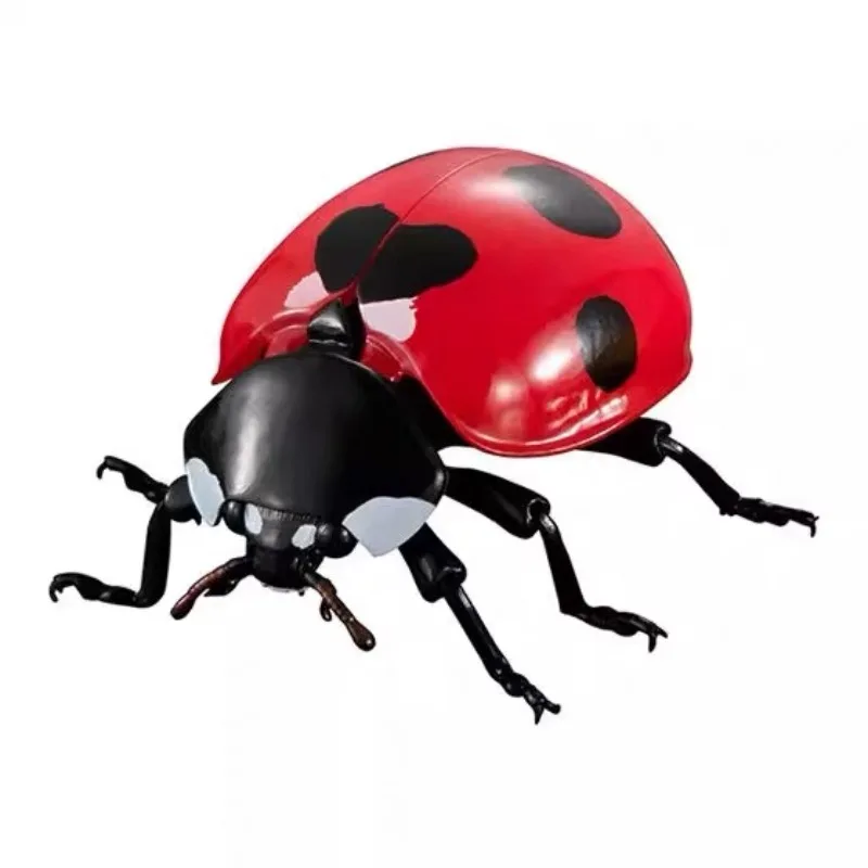 Figurine animale de biologie simulée, jouet Coccinella, SeptemponctMiTortoise, planchers aba192., Cockchafer Capsule, Gashapon