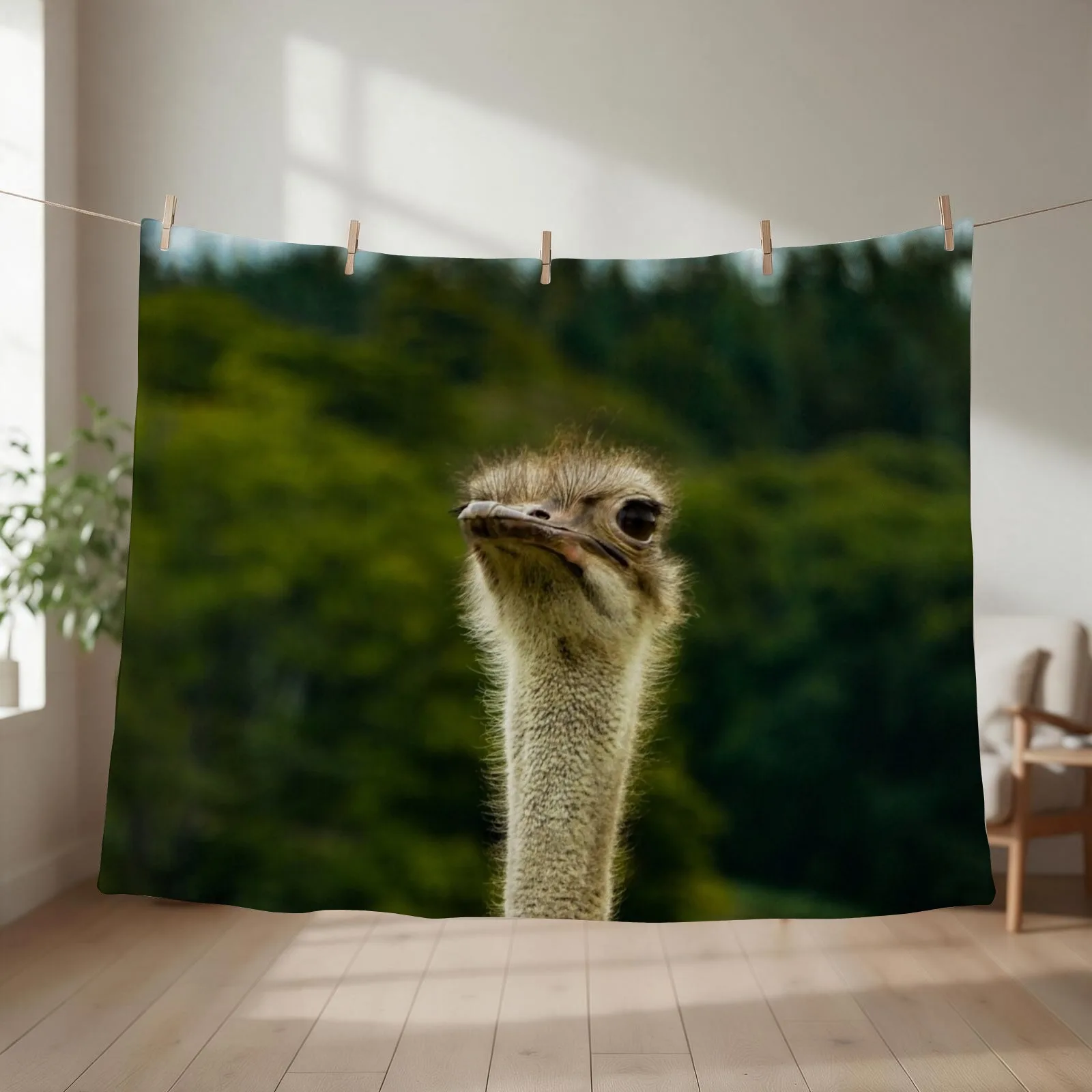 Ostrich Stood Tall Photograph - Ostrich Photography Throw Blanket sofa bed Thin blankets ands Flannels Blankets