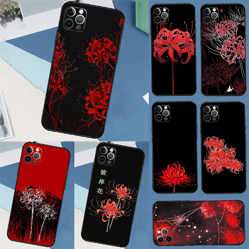 Lycoris Radiata Cas…