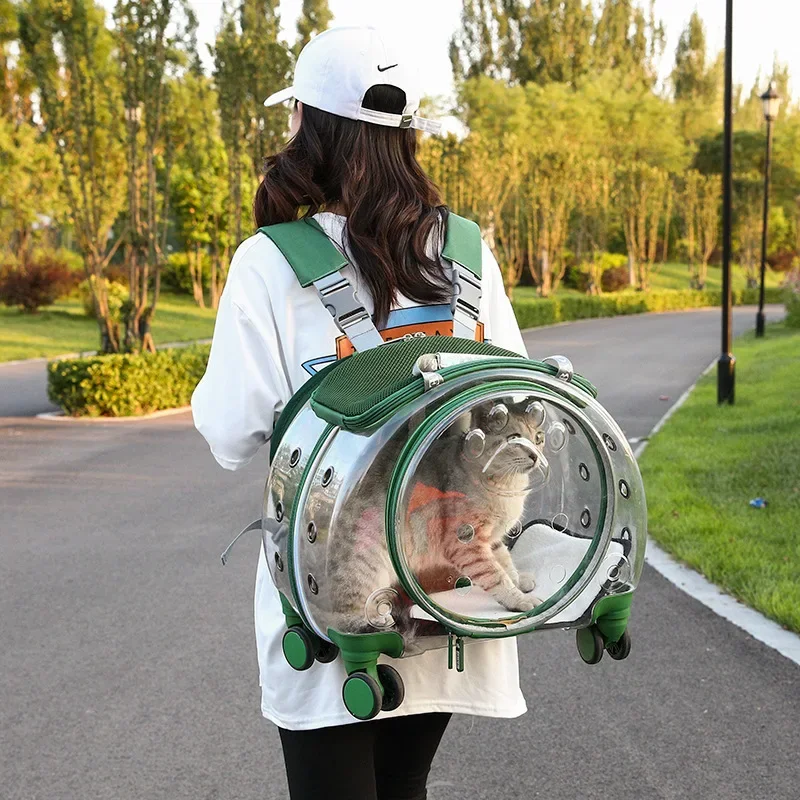 

Fully Transparent Pet Suitcase Space Capsule Cat Bag Portable Multi Purpose Outdoor Dog Bag Pet Travel Luggage