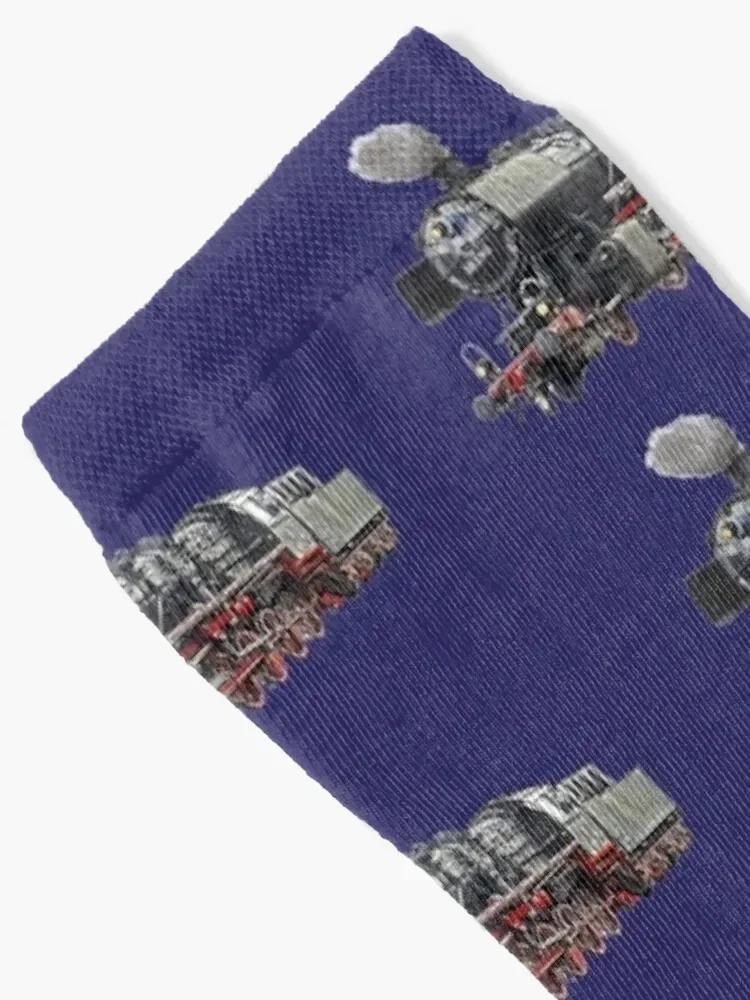 Steam Train Socks heated floral Socks For Men Women's