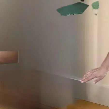 

Garden Defender Organic Snail Trap; Environmentally Friendly Slug Cage and Pest Rejector