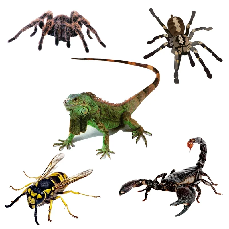 

New Three-dimensional Car Sticker Spider Gecko Animal Simulation Car Tail Sticker Realistic Modification Creative Decor