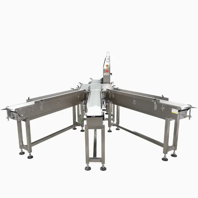 Automatic Checkweigher Conveyor Machine for Food Fruit Seafood Weight Sorting Conveyor Line Conveyor System