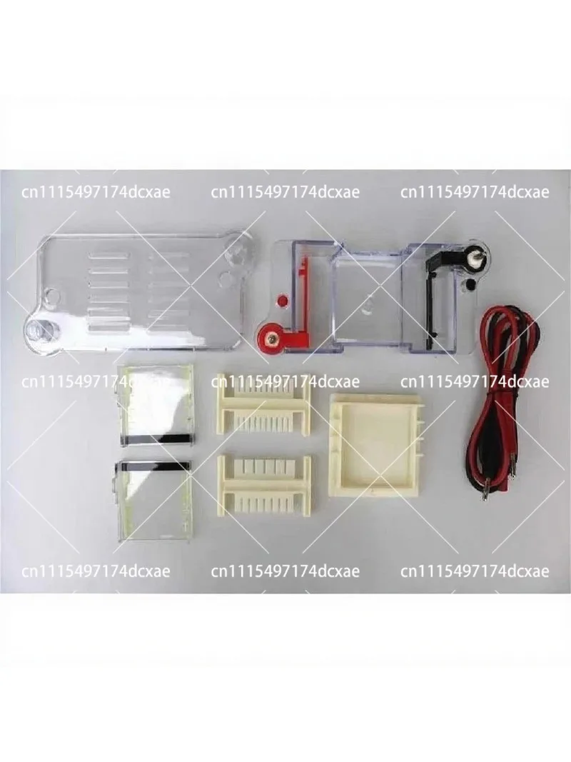 Electrophoresis Tank Agar Gel Horizontal Electrophoresis Apparatus Molecular Separation Lab Teaching Instrument