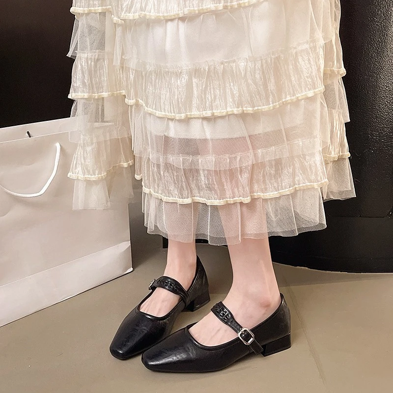 

2026 Spring/Autumn Professional Women's Shoes - Pointed Toe Mary Jane Shoes Chunky Heel Flats, Simple Temperament Commuter Shoes