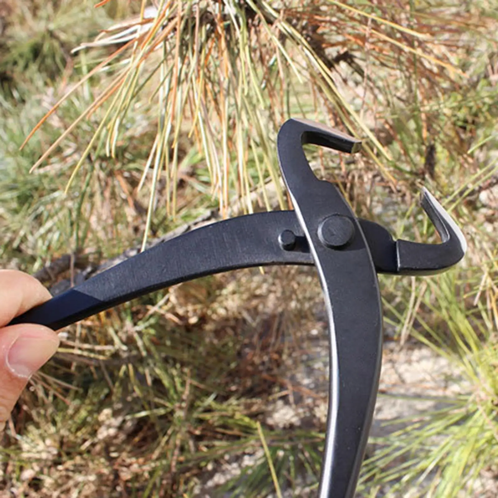 

Bonsai Scissors Knob Cutter Concave Edge Cutter Carbon Steel Bonsai Tools Concave Cutter Landscape Modeling Garden Bonsai Tools