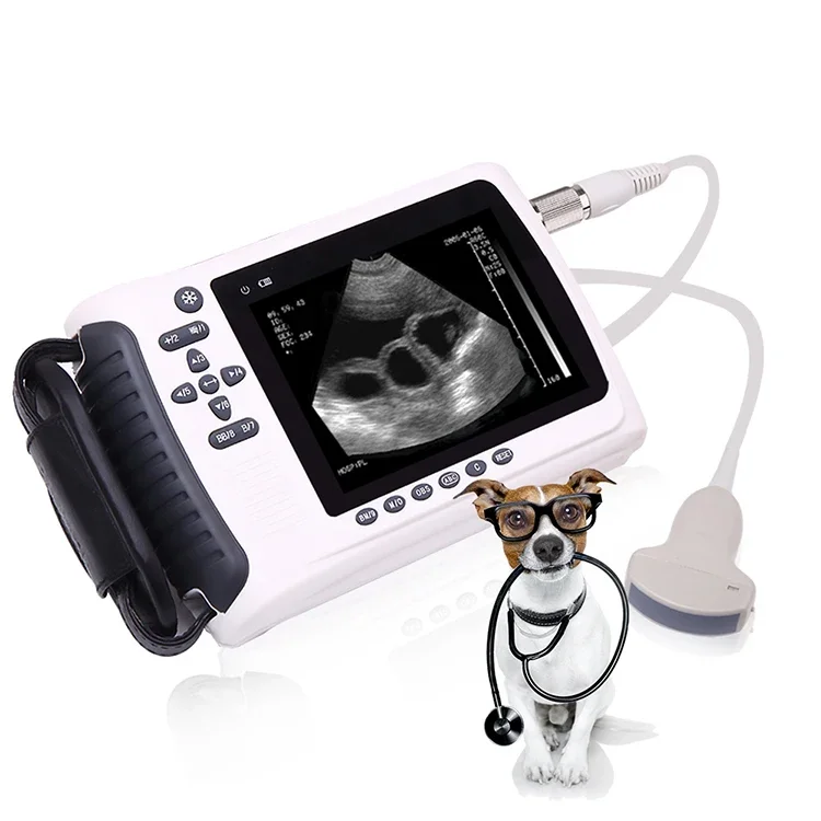 Veterinary ultrasonic portable horse ultrasonic handheld equipment animal portable ultrasonic machine