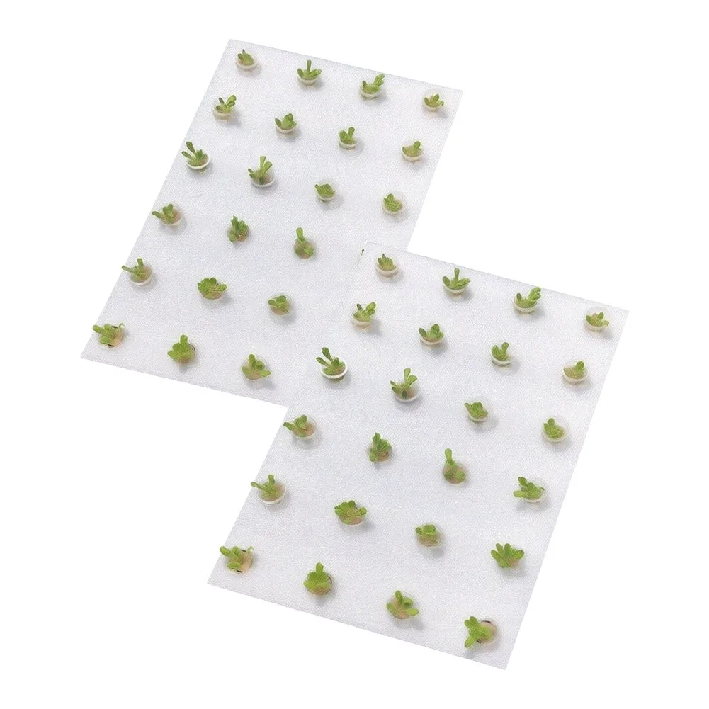 2 Pack Hydroponics Planting Tray with 24 Sponge Cavities and 24 for Starter For Bud Growth and Transplant Prep
