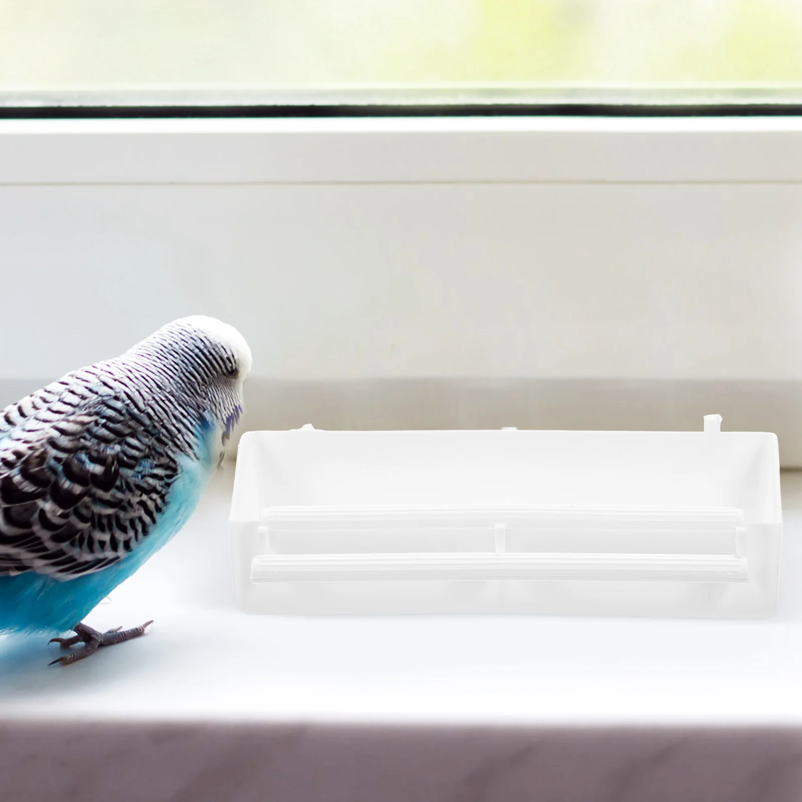 

6pcs Plastic Bird Feeder For Cage Parakeet Water Dispenser Bowl Pigeon Chicken Parrot Cage Accessories Pp Feeding Trough Bowl