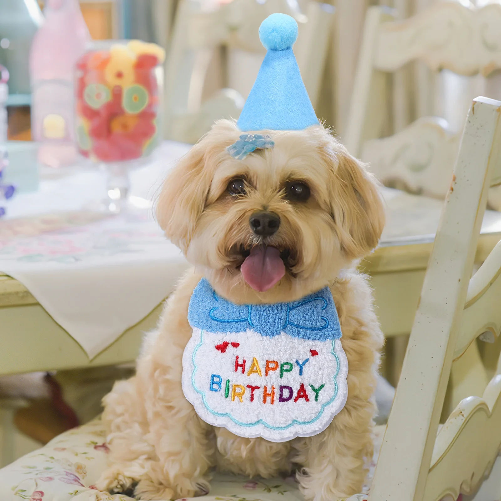 

1Set Pet Birthday Outfit Bib Hat Cat Dog Birthday Party Supplies Adjustable Small Dog Hat Cat Outfit Pet Party Decoration