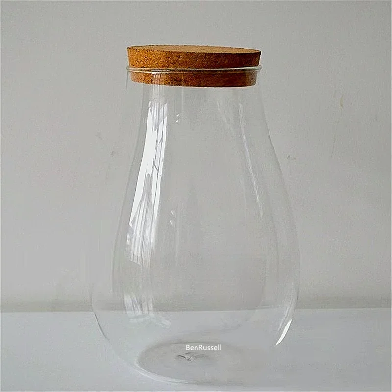 Water Droplets Shape Glass Jars Micro Landscape Ecological Glass Vase with Cork Bryophyte Moss Plant