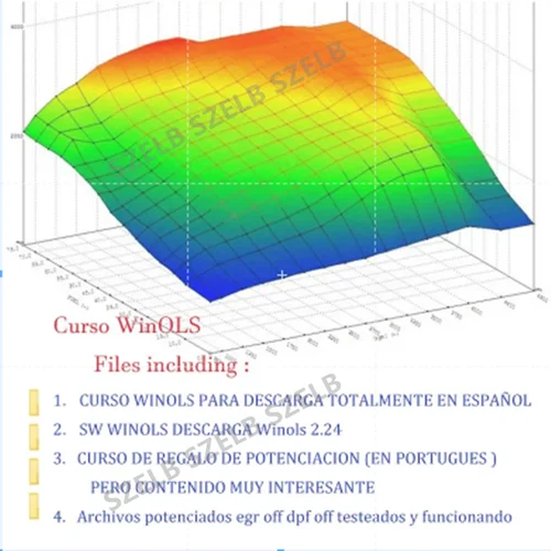 Imagen 2 del producto El curso de Winols más completo Professional (Basic+ Advanced) Sintonización de chips de Winols con curso de ganancias enseñanza vedio Professional