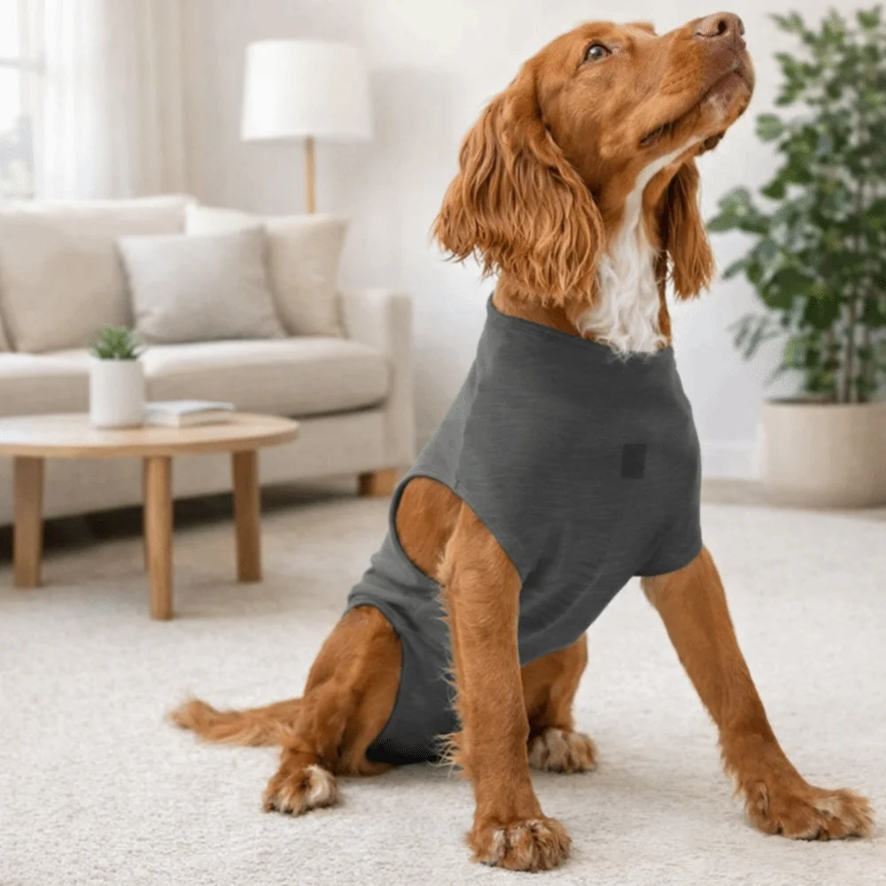 

Adjustable Pet Physiological Clothing Soft Reusable Dog Sanitary Jumpsuits Stretchy Sweat Absorption Pet Physiological Pants
