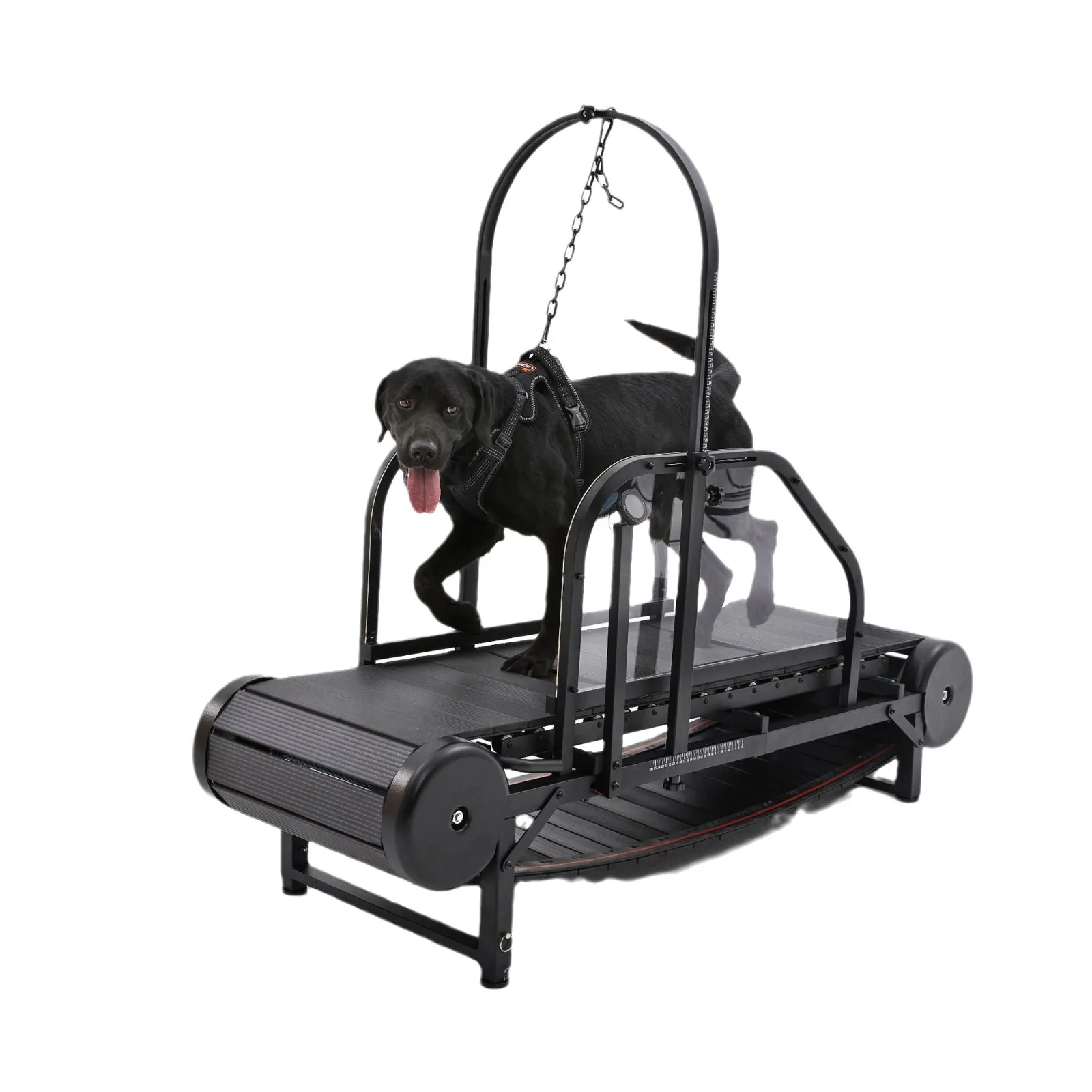

Treadmill for large and medium-sized dogs Height adjustable with pedometer and brake
