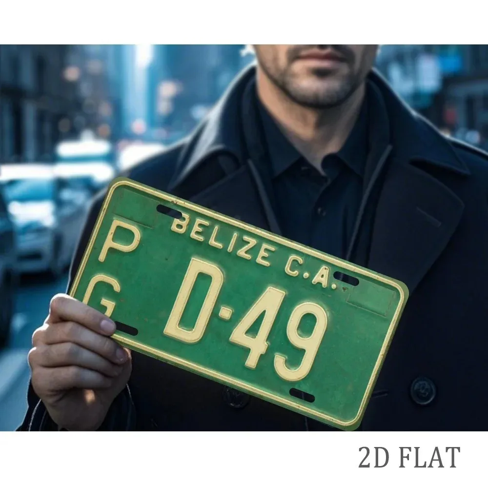 2D Flat Custom Vintage Decorative License Plate, 11.81x5.91 Inch Wall Ornament for Men and Women, Compatible with Standard Licen