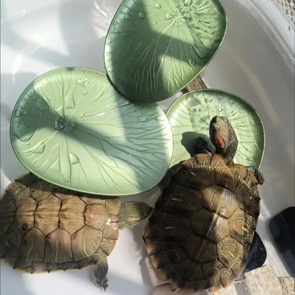 

Multi-Functional Turtle Basking Platform Simulated Lotus Leaf Design with Rest and Hideout Areas Turtle Tank Aquascaping