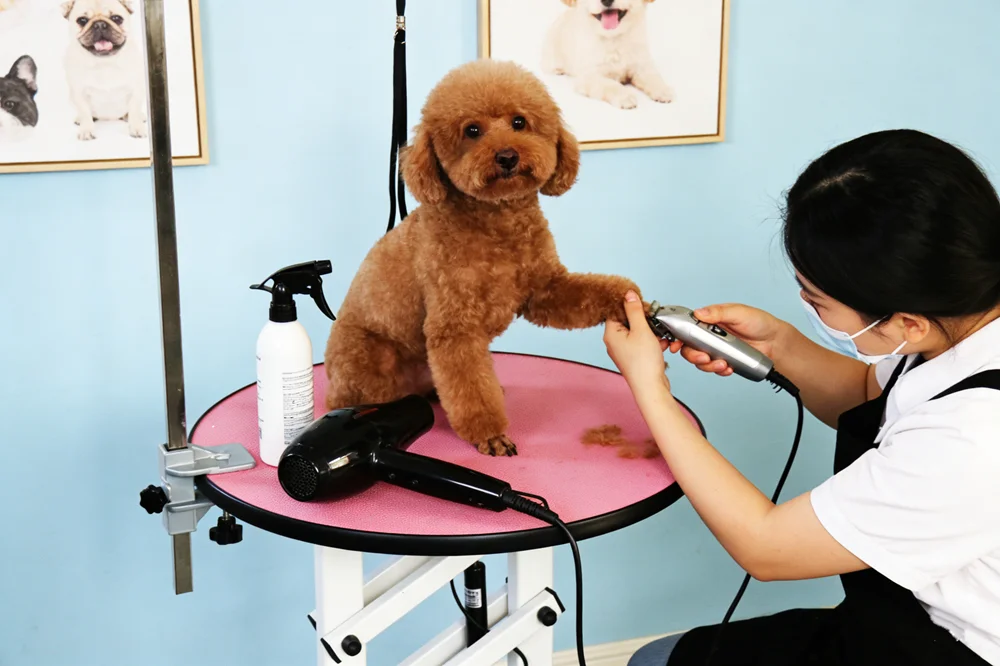 Modern round pet grooming station with a sleek design and stainless steel rod for grooming and basic care