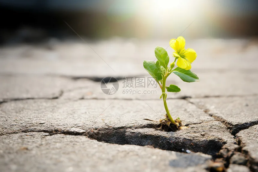 1/14 TAMIYA RC Truck Universele metalen velg- en bandenset, upgrade-onderdelen voor modelauto's