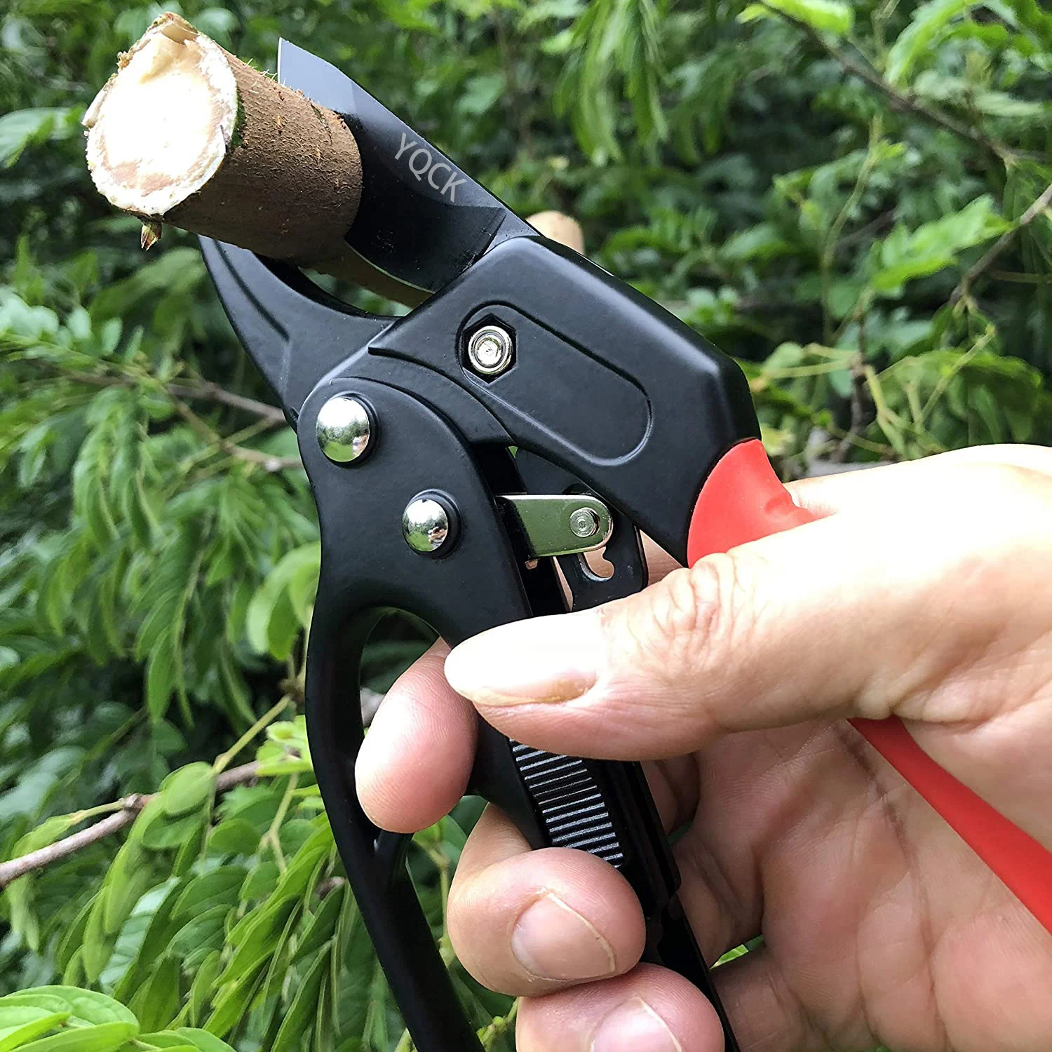 

Stainless Steel Pruning Scissors Labor-saving Garden Pruners Fruit Tree Fruit Branch Pruners Orchard Scissors Tools