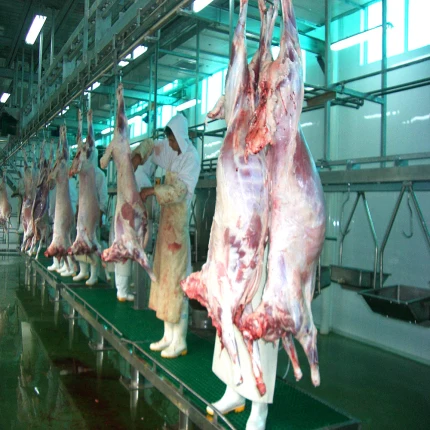 Goat Slaughterhouse Complete Goat Slaughter Equipment Line Islamic Religion Slaughter