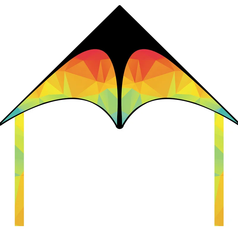 New Easy Fly 1.2m Large Delta Kite with 50M Kite Line Ripstop Good Flying Kite Long Tail Rainbow Kite Fun Sports