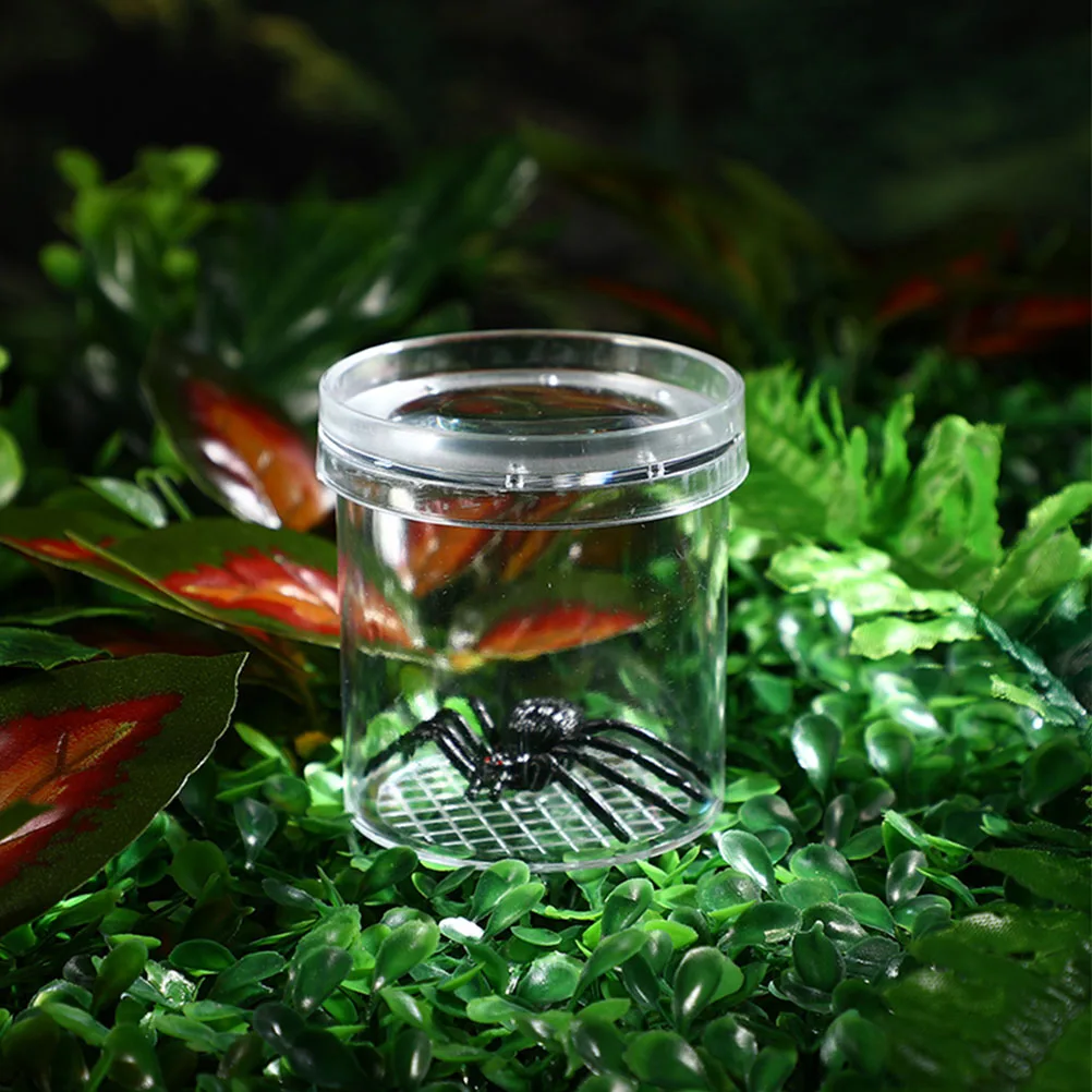 

20 Pcs Insect Observation Cup Portable Container Catcher Viewer Breeding Toys Magnifying Glass Observing Accessory