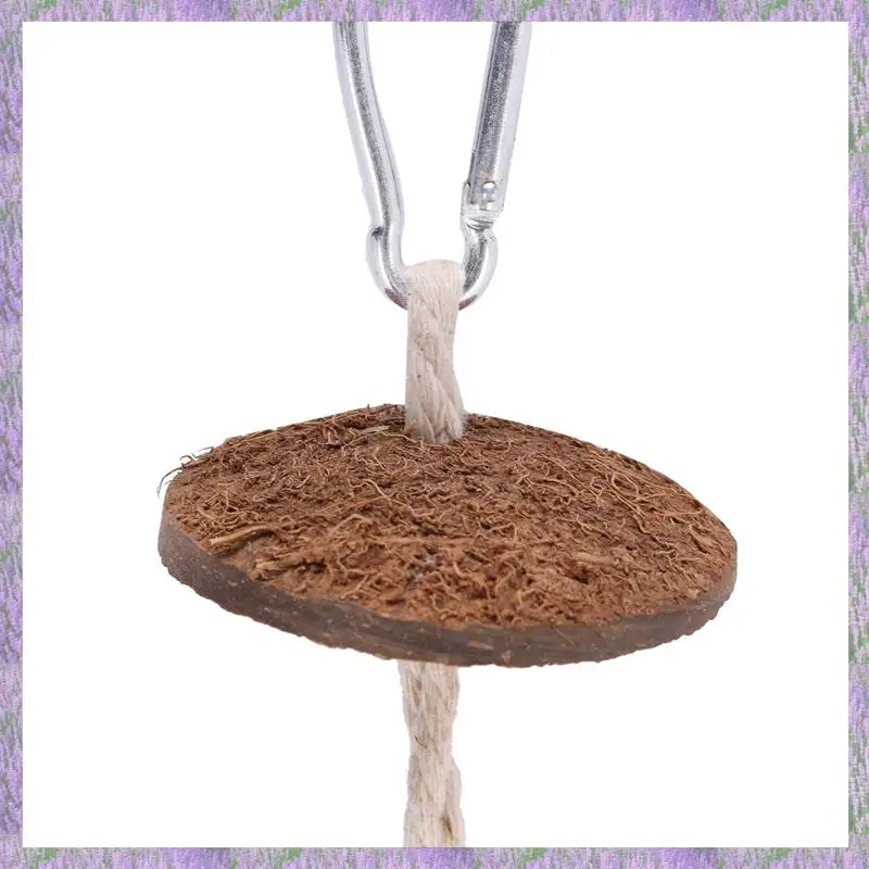 

A63K-3X 100% Natural Coconut Husk Coconut Hide With Ladder For Bird Shell Hideaway Durable Habitat 2