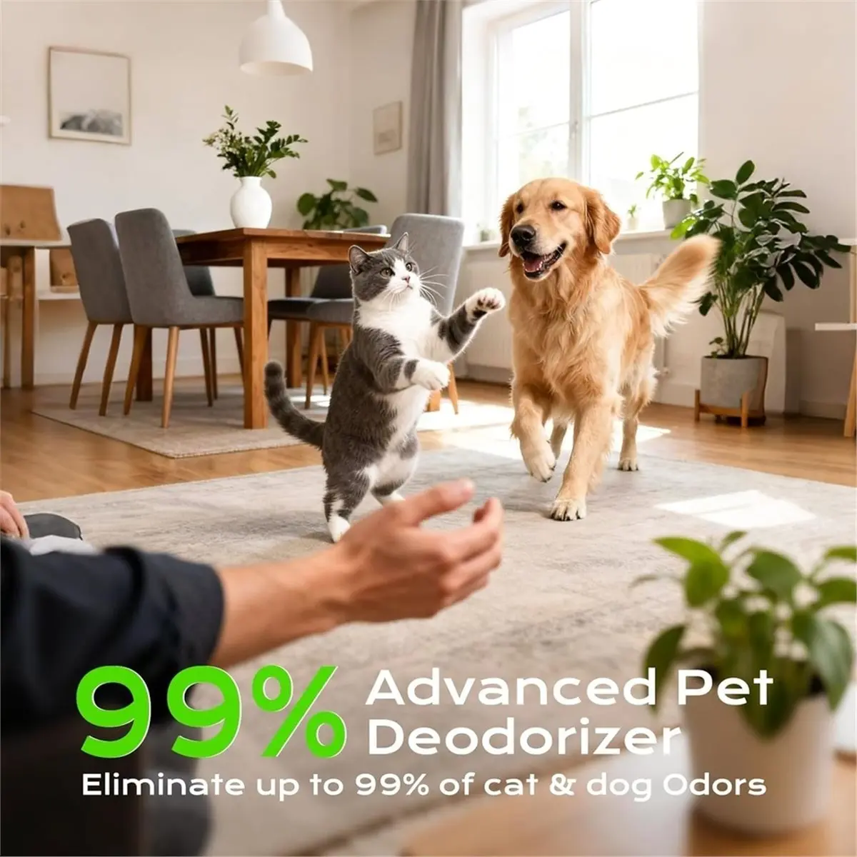 《TOP RATED》Cat Litter Deodorizer, Plug in Negative Odor Eliminator, Filter-Free AirPurifier for Pets, , Toilet US Plug