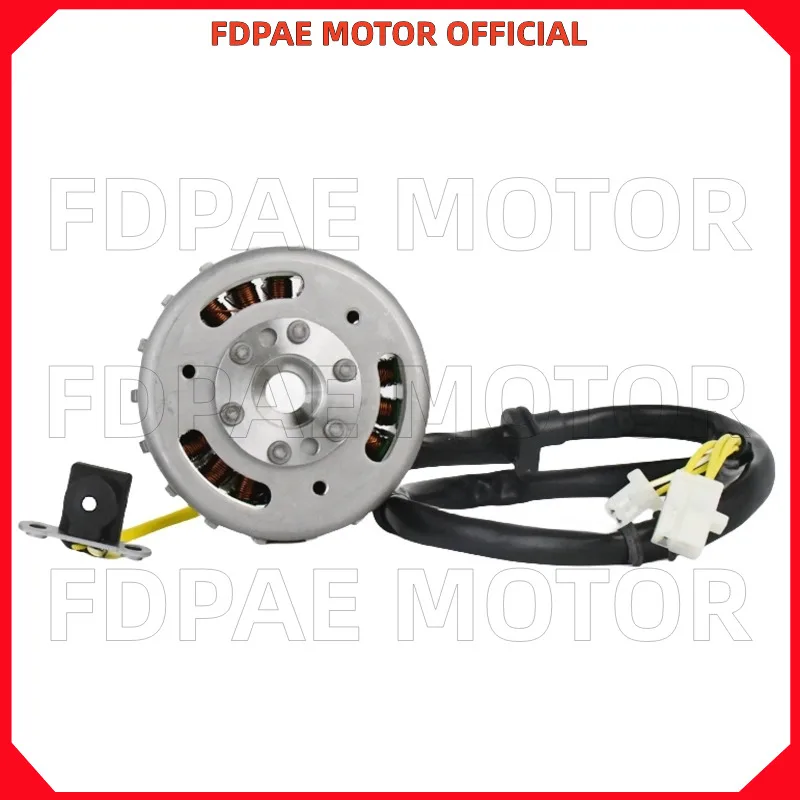 

Stator / Flywheel Assembly for Wuyang Honda Wh110t-a-8