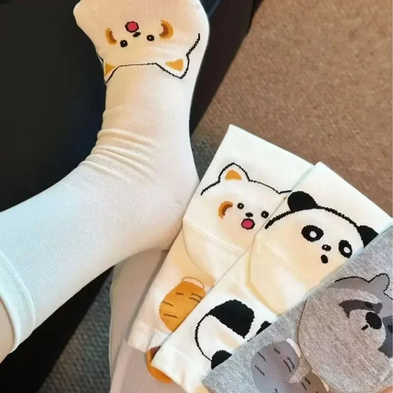 جديد الإبداعية Kawaii الكرتون جوارب بصور حيوانات الدب الراكون القط الجسم الراحة مطاطا منتصف العجل الجوارب للطلاب النساء Ins نمط 2025 #4