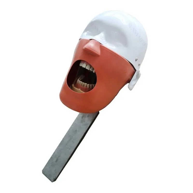 YTYIN SY-YM14-3 أداة محاكاة فانتوم عن طريق الفم مجموعة تعليم طبيب الأسنان نموذج دراسة التدريس المدرسي #2