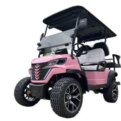 Best Golf Cart Supplies Free Color Custom Vivid White Pink Red Purple Green Black Blue Classic Electric Golf Buggy Price