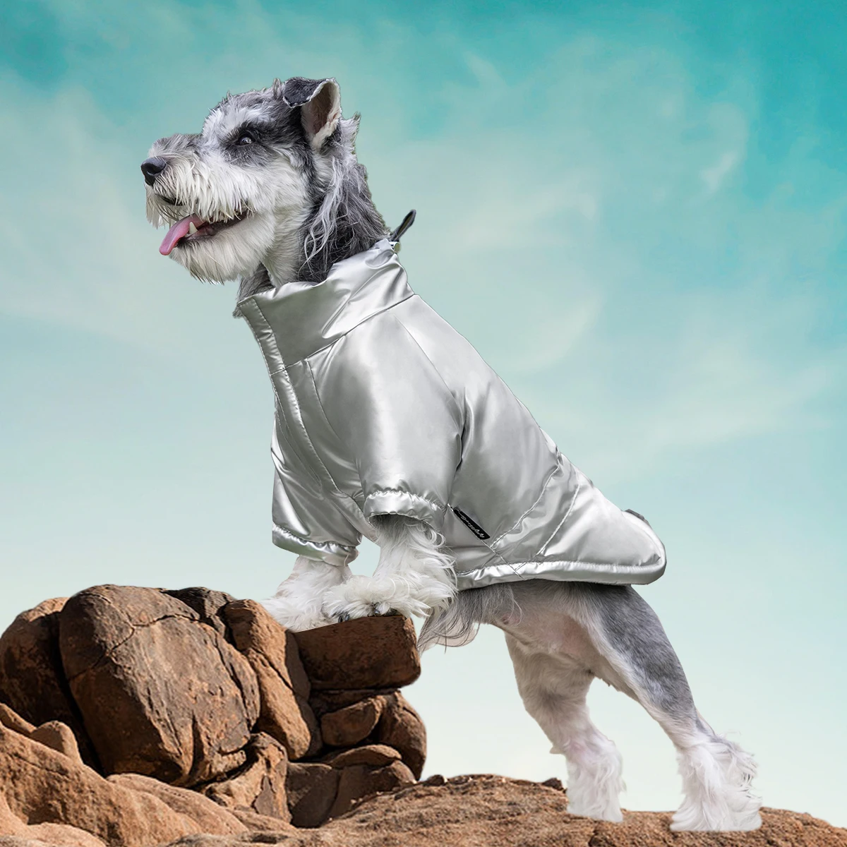 Shiny Padded Dog Winter Coat Stand Collar Drawstring Hem Windproof Pet Jacket Multi‑Color Warm Outfit for Small Medium Dogs