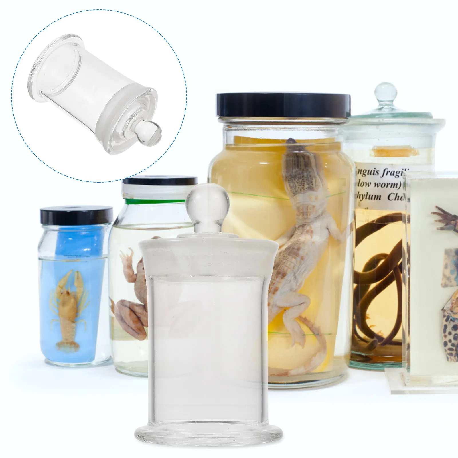 1Pcs Clear Borosilicate Glass Sample Bottle Non Spill Cap Laboratory Specimen Bottle for Research Institutes Colleges Wine