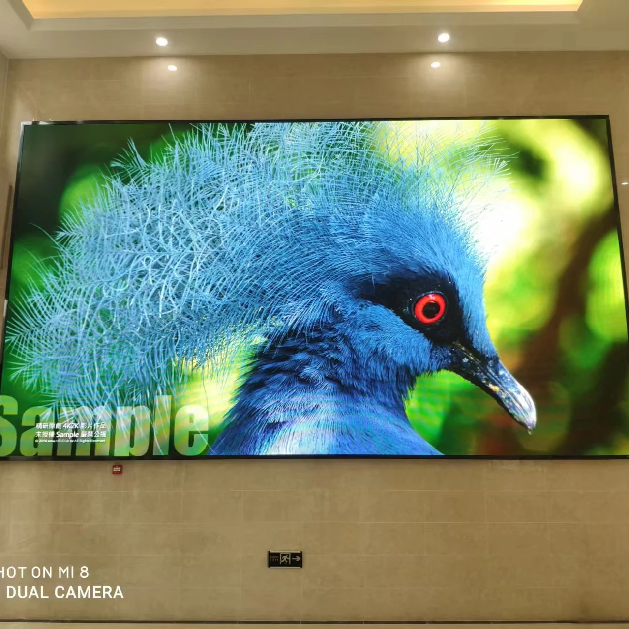 P2.5 High Definition Indoor Full Color LED Video Wall for Elevator Use with SMD2020 LEDs and 500-800cd/m Brightness