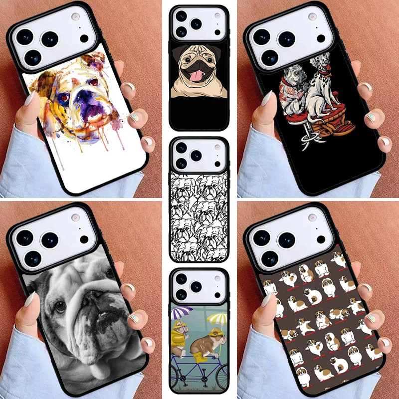 English Bulldog Pug…