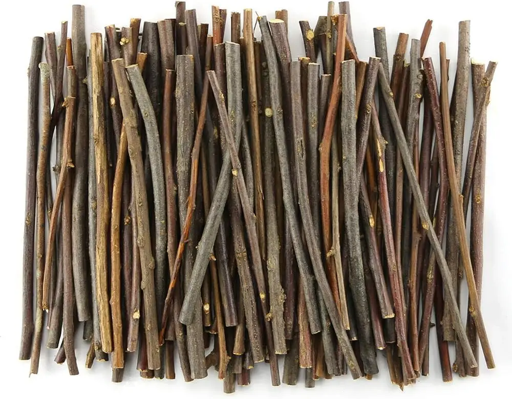 

100Pcs 10cm 0.1-0.2 Inch in Diameter Wood Log Sticks for DIY Crafts Photo Props Craft Sticks, Wood Crafts, Sticks inch