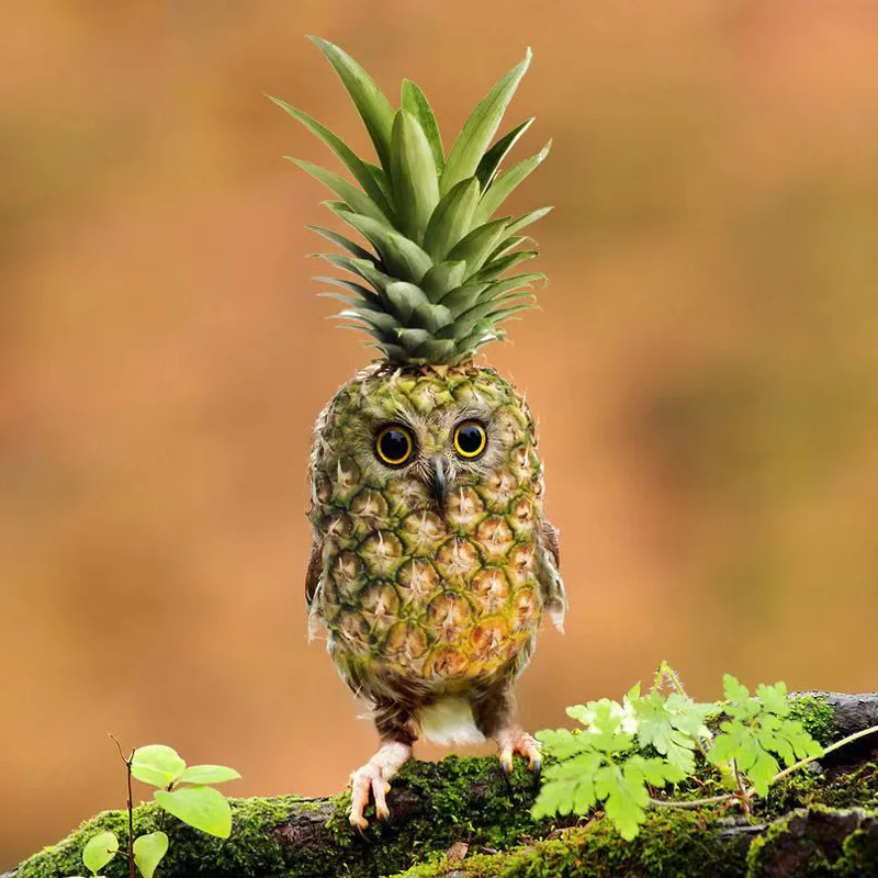 Hot Selling Garden Variation Pineapple Owl Resin Craft Ornament Outdoor Courtyard Creative Decorations