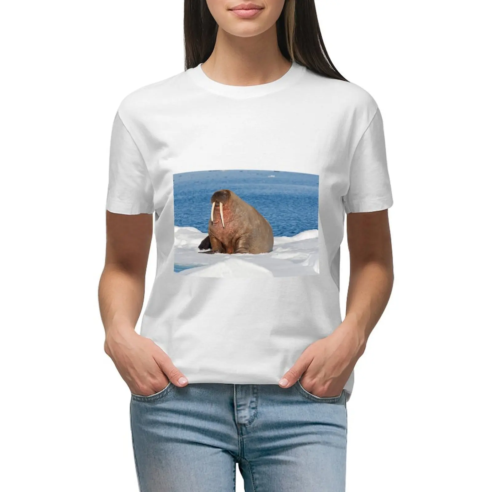 Walrus on pack ice T-shirt Female clothing tees cute t-shirts for Women