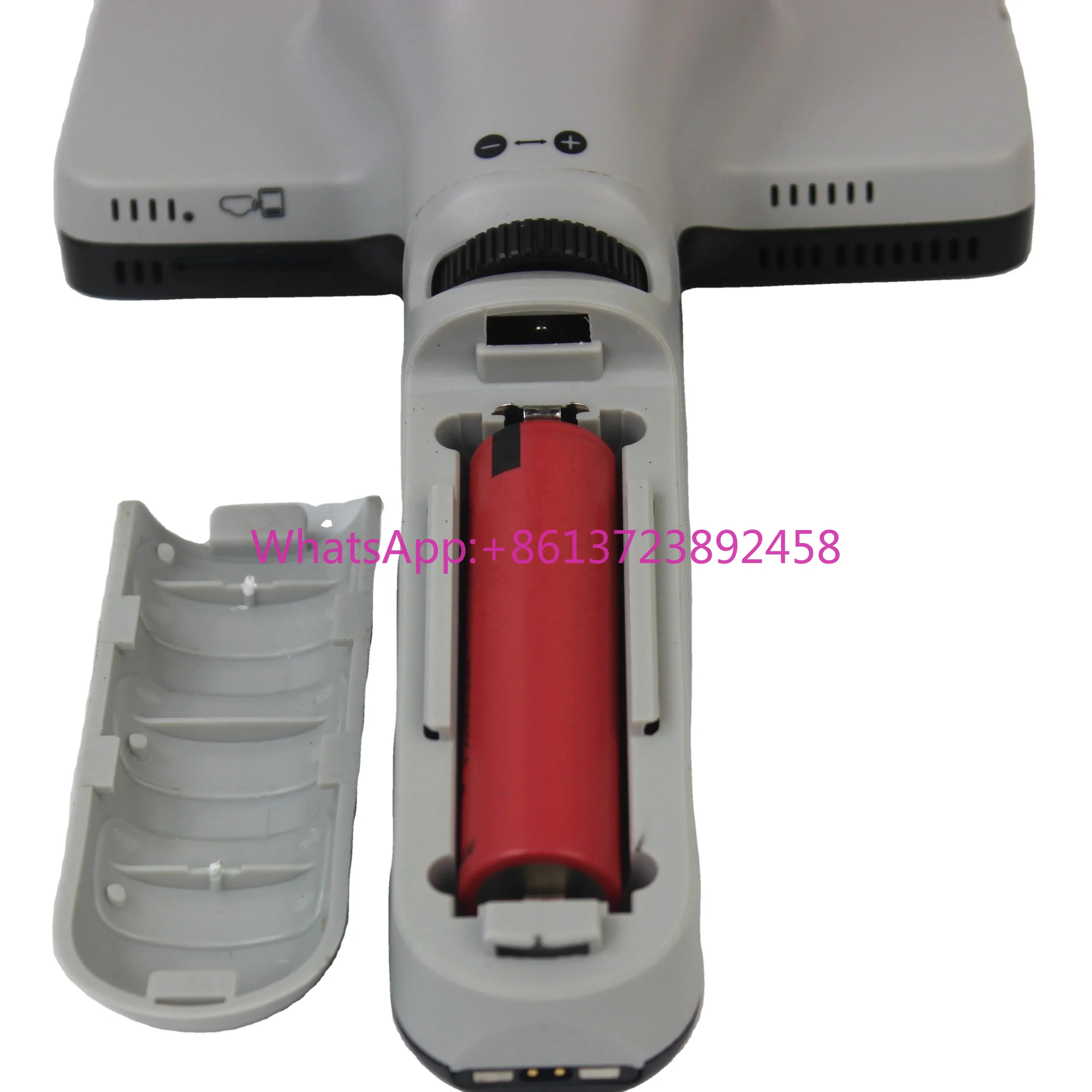 

fundus