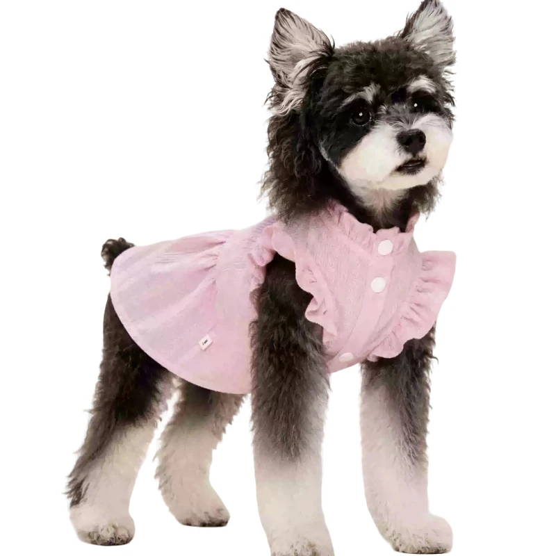 

Schnauzer Dog Dress Cat Chihuahua Yorkies Shih Tzu Maltese Pomeranian Bichon Poodle Small Dog Costume Pet Clothes Puppy Clothing