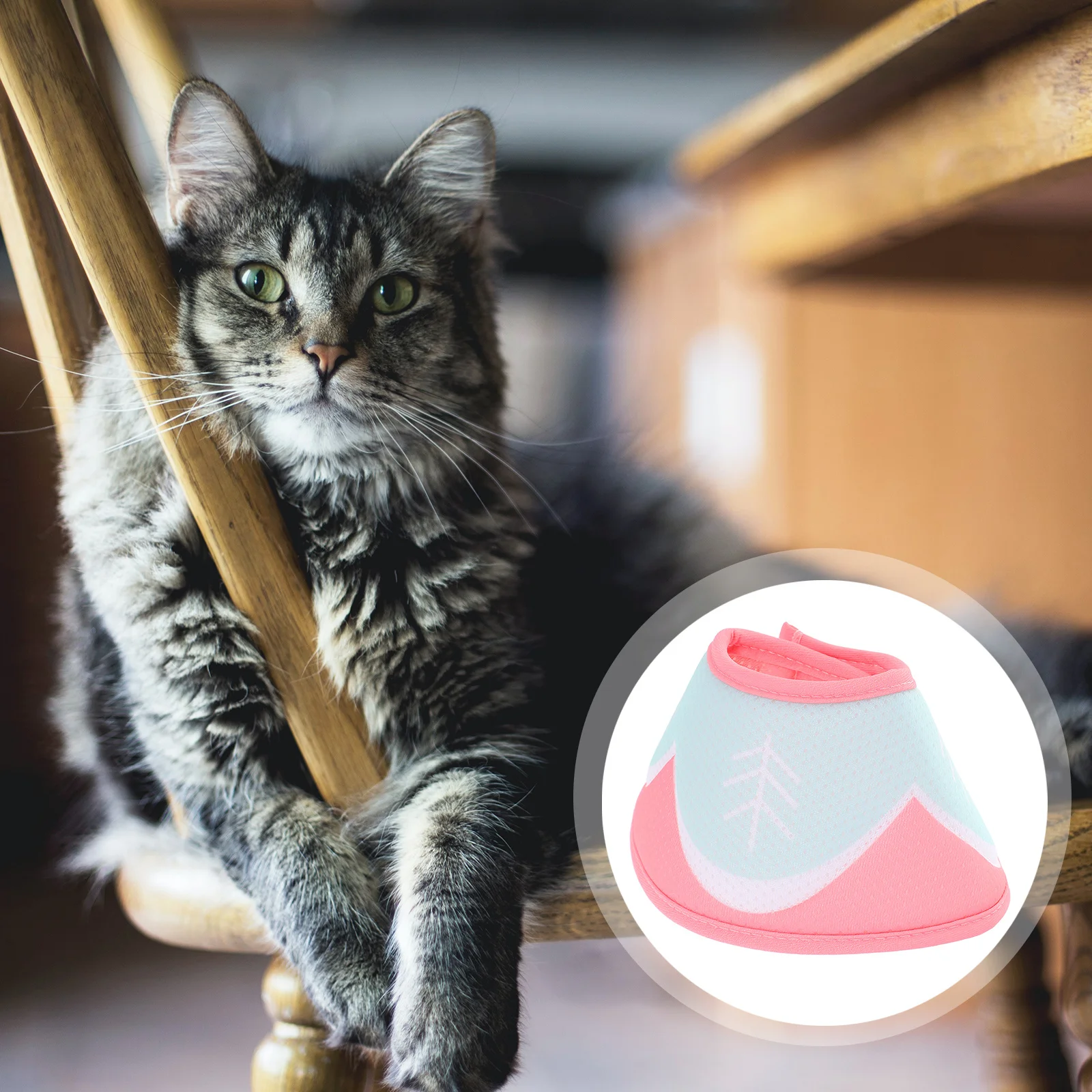 

Cat Cone Collar Adjustable Recovery Collar for Cats Breathable Lightweight Pet Neck Cone for Scratching Licking Prevention