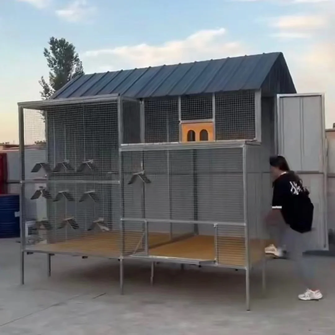 Customized large-scale assembled pigeon cage house competition species disassembly and assembly