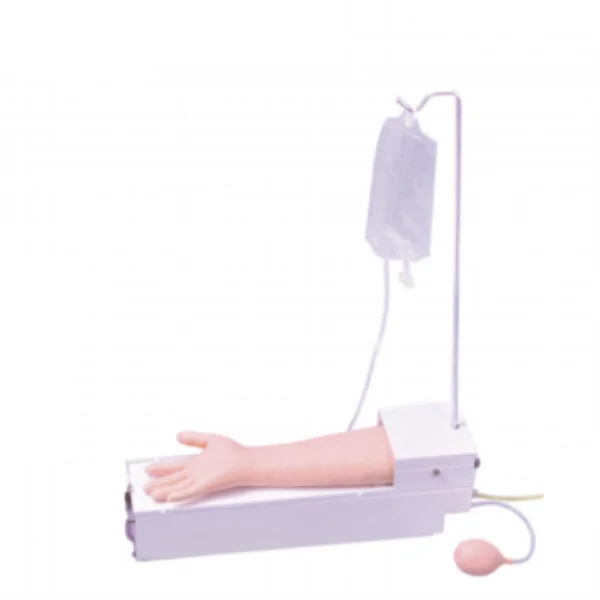 

Full-function Rotating Arterial Arm Puncture Training Model