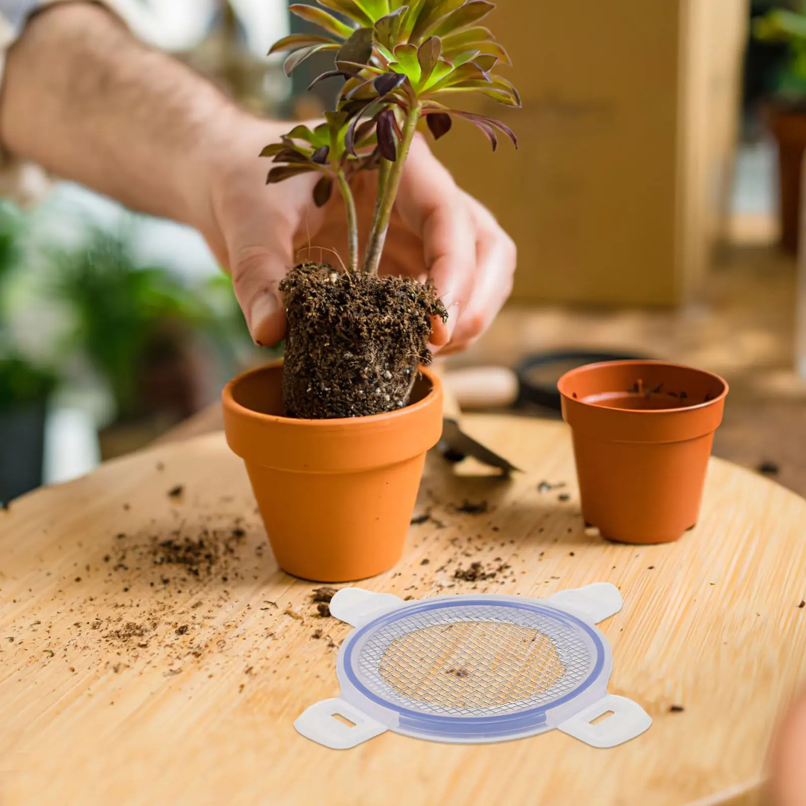 

Сменная сетка-накладка для аппликатора статической травы, 10-меш, для волокон травы 8-10 мм, для флокирующих машин, инструмент для ландшафтного дизайна и создания сценариев