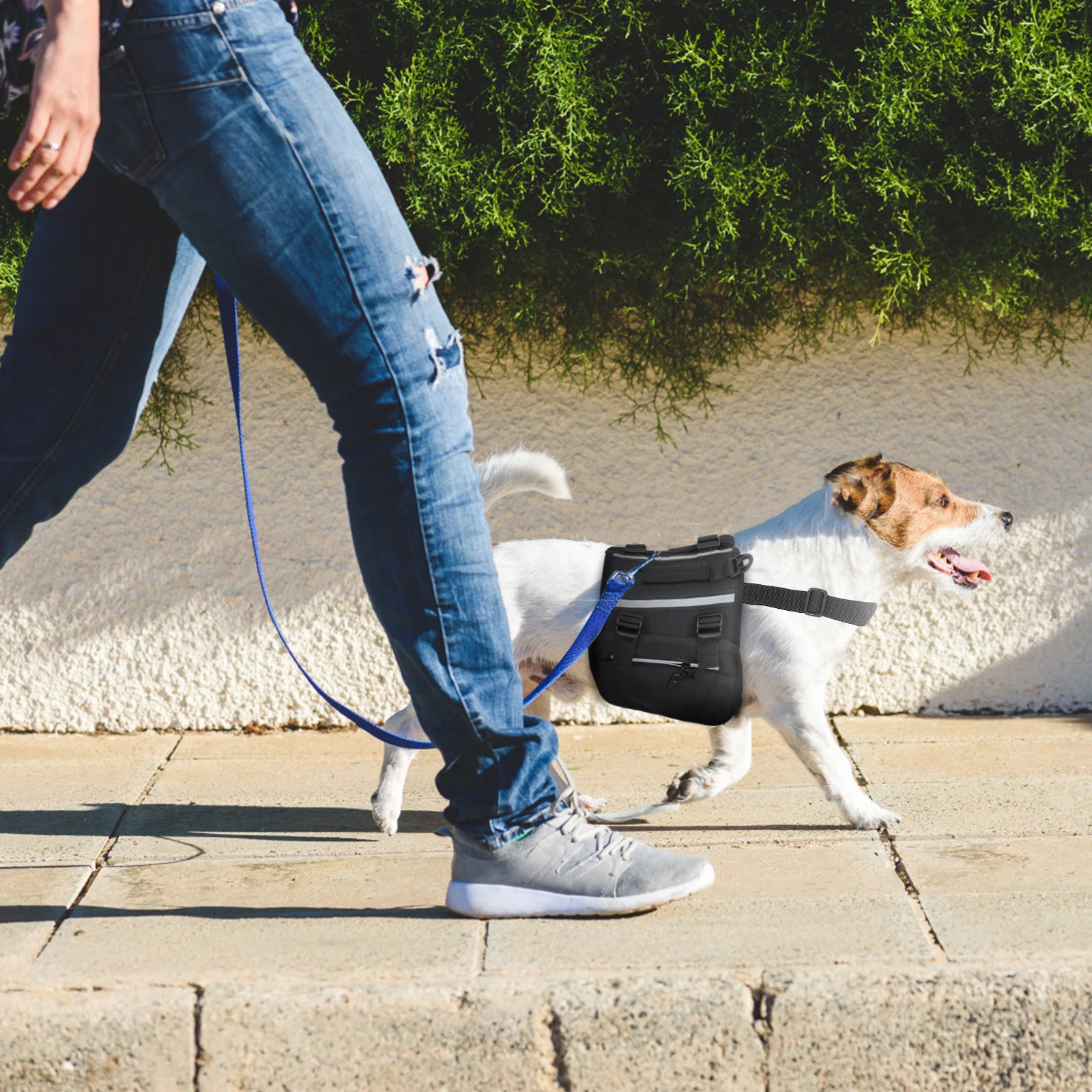 

Pet Dog Backpack Mini Self-Wearing Pouch Durable Stylish Adjustable for Hiking Camping Daily Walking Outdoor Activities