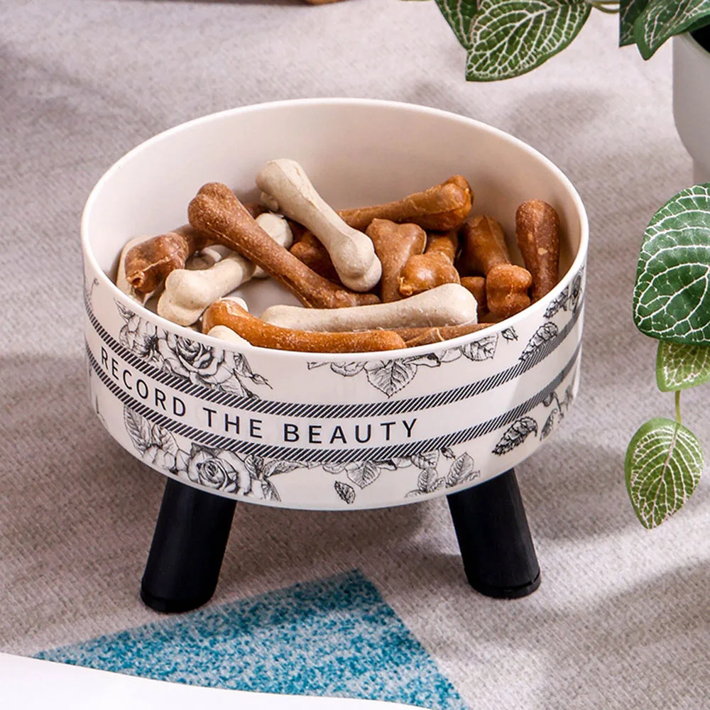 Thumbnail 2 - #58 Stainless Steel Pet Bowls Price Drop Alerts